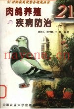 肉鸽养殖与疾病防治