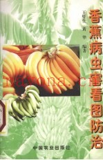 香蕉病虫害看图防治