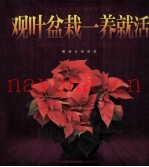 观叶盆栽一养就活