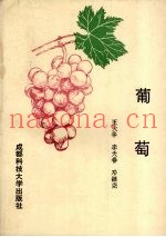 葡萄