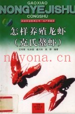 怎样养殖龙虾  克氏螯虾