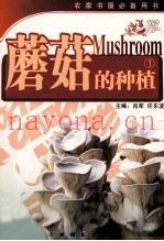 蘑菇的种植  1
