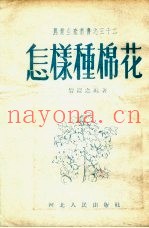 怎样种棉花