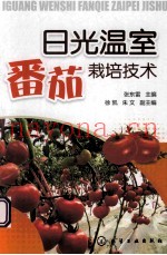 日光温室番茄栽培技术
