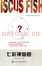 七彩神仙鱼