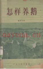 怎样养鹅
