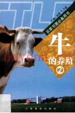 牛的养殖  2