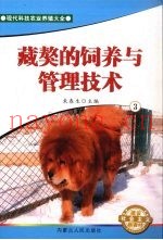 藏獒的饲养与管理技术  3