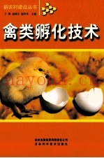 肉牛生产技术