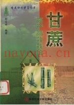 甘蔗高产高效栽培