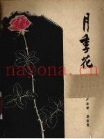 月季花
