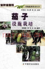 茄子设施栽培