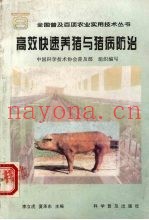 高效快速养猪与猪病防治