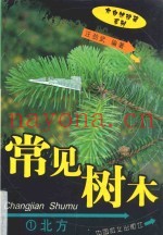 常见树木  1  北方
