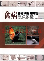 禽病鉴别诊断与防治彩色图谱