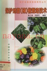 保护地甜  辣  椒栽培技术