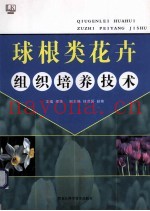 球根类花卉组织培养技术