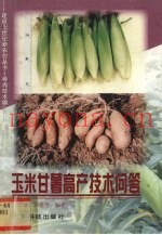 玉米甘薯高产技术问答
