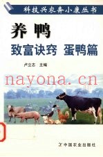 养鸭致富诀窍  蛋鸭篇