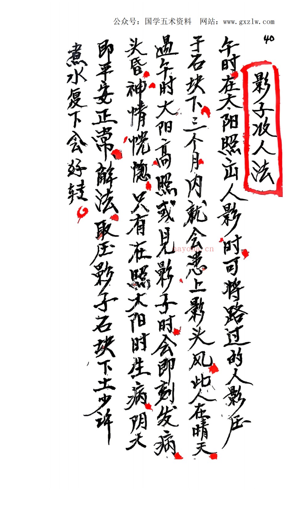 整治仇人法100页电子版 ：