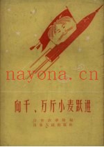 向千、万斤小麦跃进