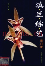 滇兰综艺  修订版