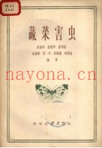蔬菜害虫
