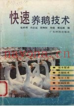 快速养鹅技术