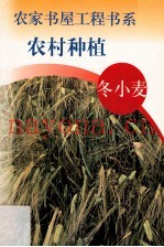 农村种植  冬小麦