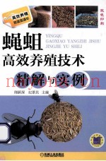 蝇蛆高效养殖技术精解与实例  双色印刷