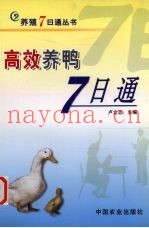 高效养鸭7日通