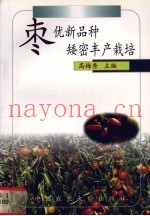 枣优新品种矮密丰产栽培