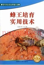蜂王培育实用技术  1