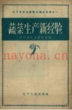 蔬菜生产新经验