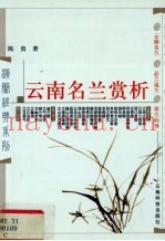 云南名兰赏析