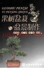 果树盆栽与盆景制作