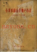 小麦水稻山芋增产办法