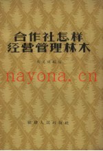 合作社怎样经营管理林木