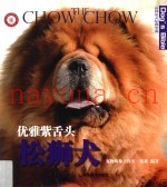 优雅紫舌头  松狮犬