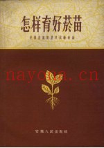 怎样育好烟苗