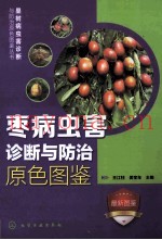 枣病虫害诊断与防治原色图鉴