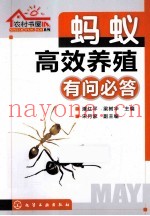 蚂蚁高效养殖有问必答