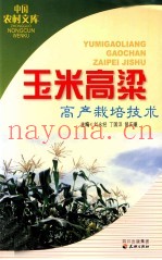 玉米高粱栽培技术