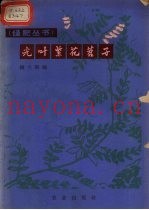 光叶紫花苕子