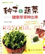 家庭园艺DIY系列  种子变蔬菜  健康芽菜种出来