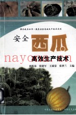 安全西瓜高效生产技术