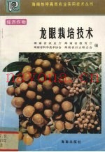 龙眼栽培技术
