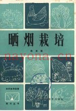 晒烟栽培
