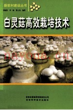 白灵菇高效栽培技术