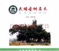 大埔古树名木